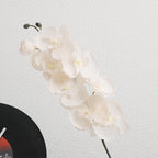 Elegante Artificial Orchid Bouquet | High & Bury