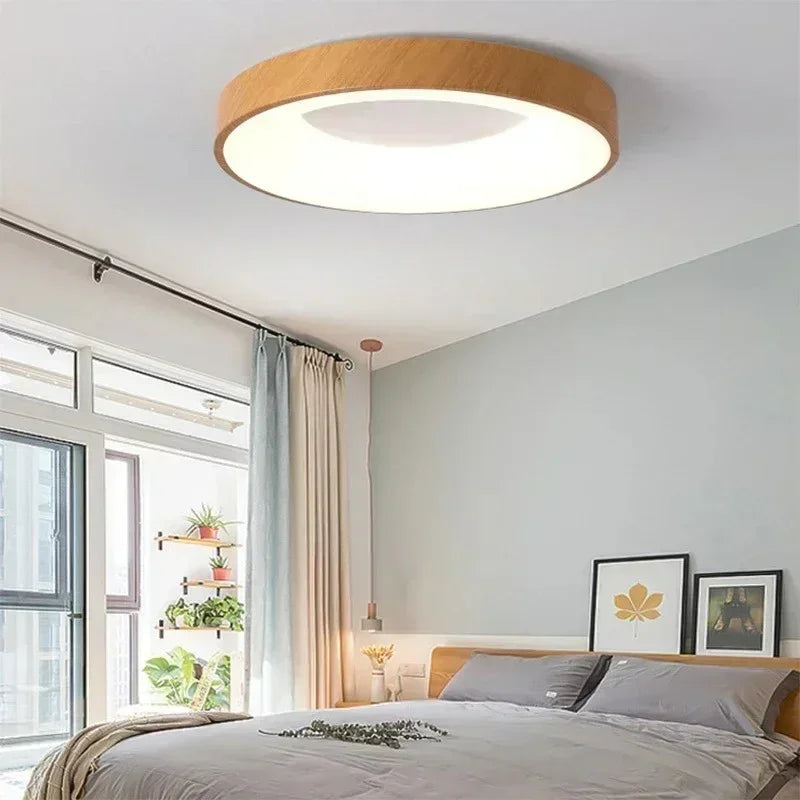 Elesa LED Ceiling Light