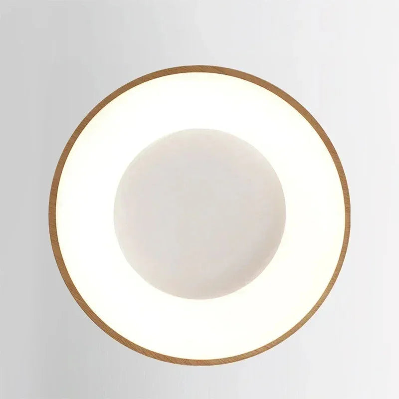 Elesa LED Ceiling Light