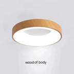 Elesa LED Ceiling Light