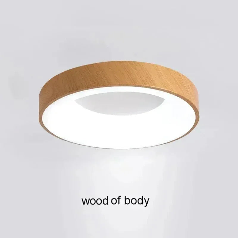 Elesa LED Ceiling Light