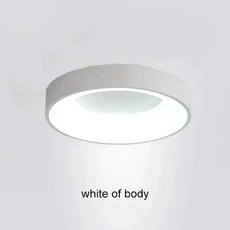 Elesa LED Ceiling Light