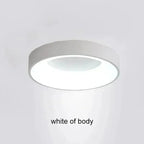 Elesa LED Ceiling Light