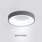 Elesa LED Ceiling Light