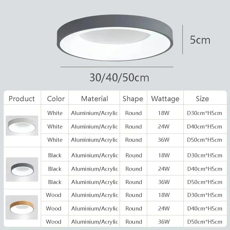 Elesa LED Ceiling Light