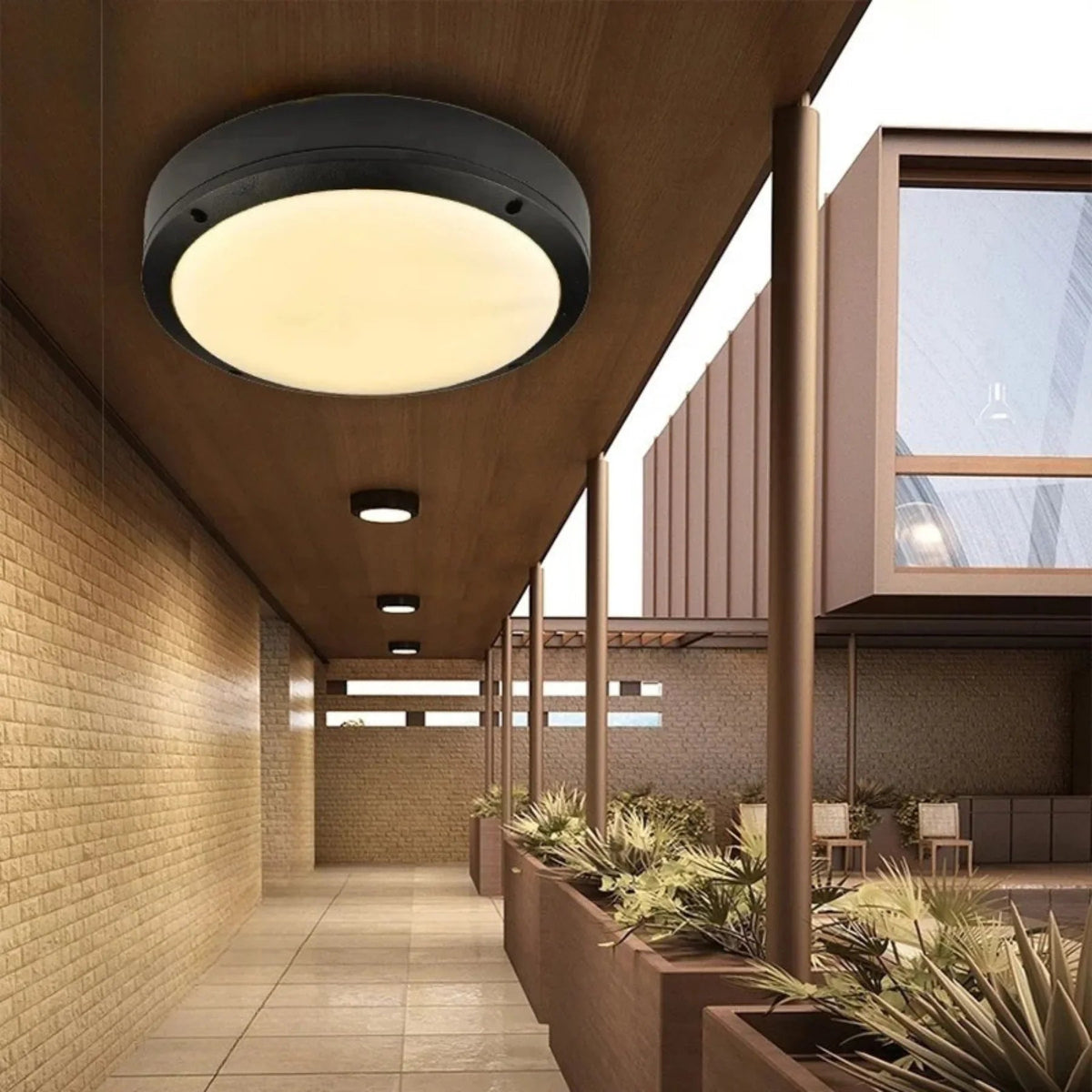Elosa Outdoor Light