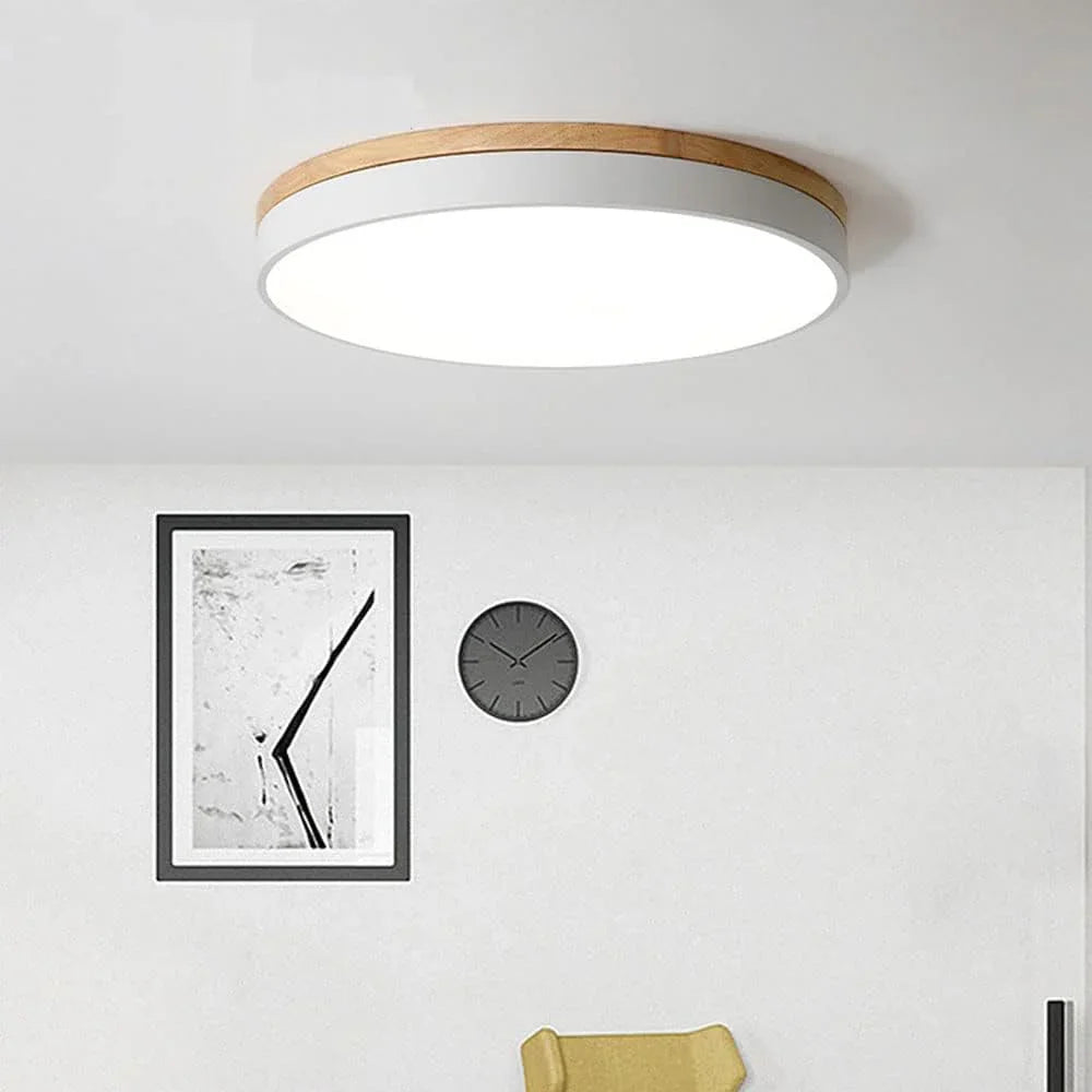 Emmisa Ceiling Lamp