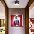 Falira Surface Mounted Downlight