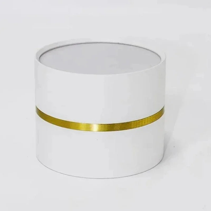Falira Surface Mounted Downlight