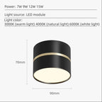 Falira Surface Mounted Downlight