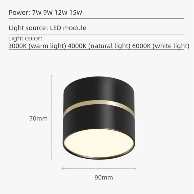 Falira Surface Mounted Downlight
