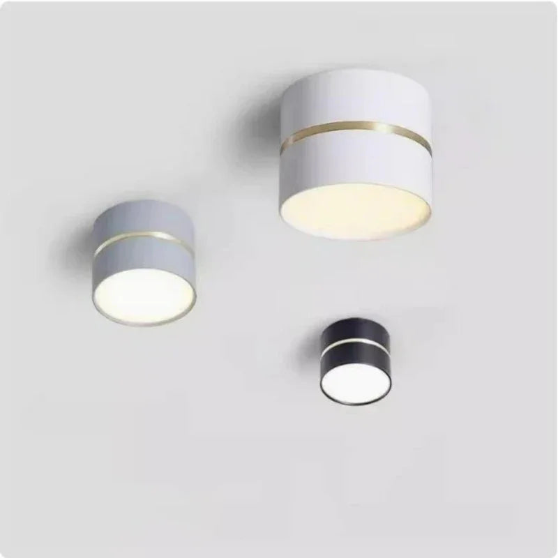 Falira Surface Mounted Downlight