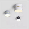 Falira Surface Mounted Downlight