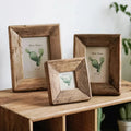 Flintthorpe Frame Collection
