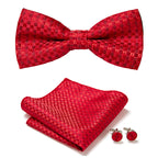 Floral Polyester Bow Tie Set with Pocket Square and Cufflinks, view 14