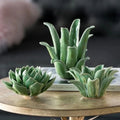 Frostwood Candle Holder