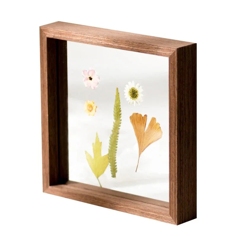 Frynira Frame Collection