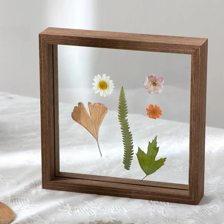 Frynira Frame Collection