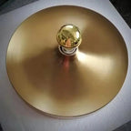 Gilnesa Wall and Ceiling Light