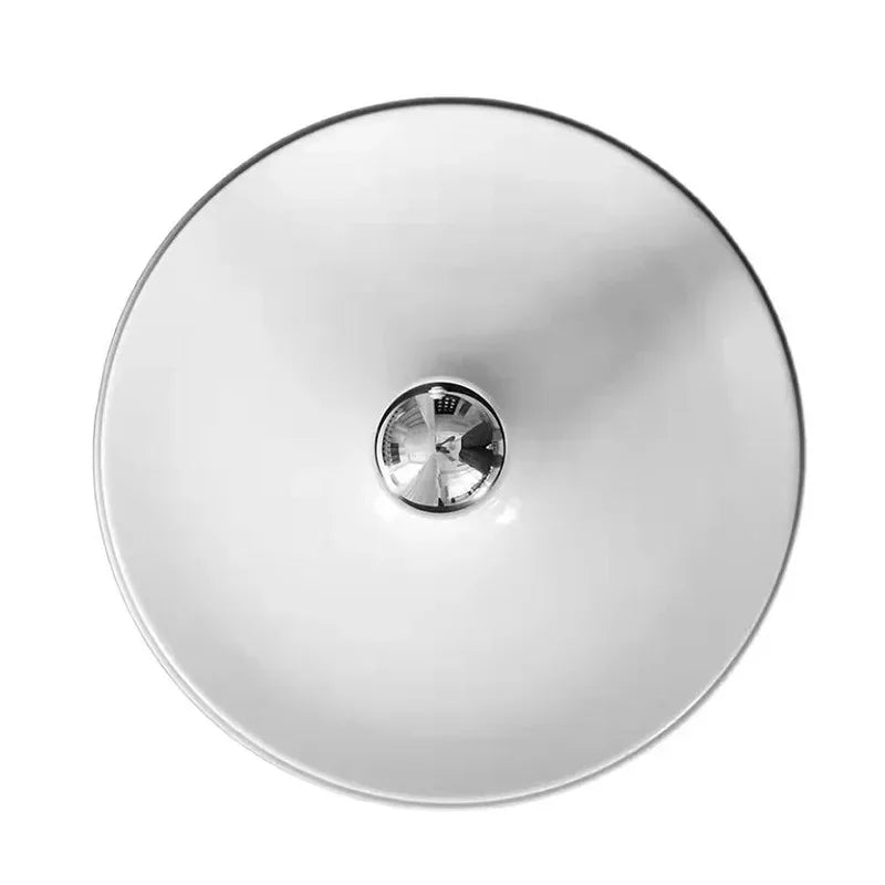 Gilnesa Wall and Ceiling Light