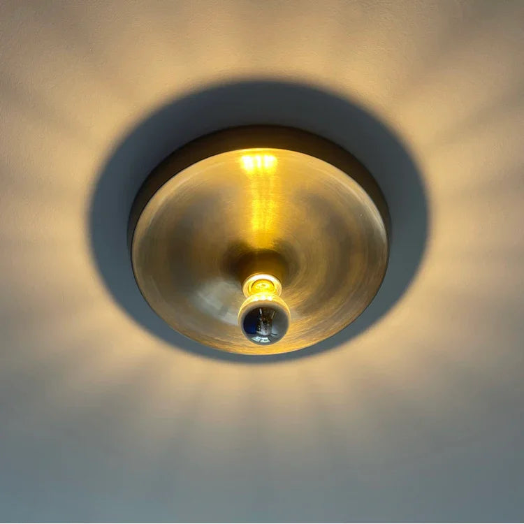 Gilnesa Wall and Ceiling Light