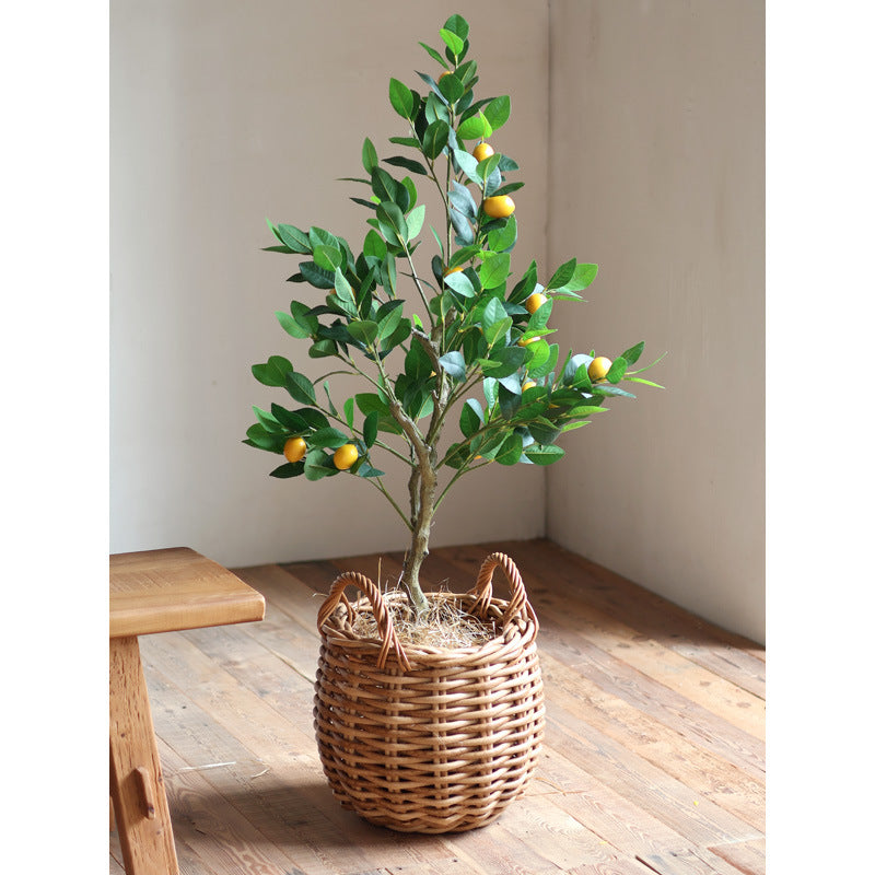 Handwoven Basket with Practical Handles | High & Bury