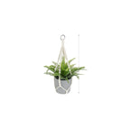 Hanging Macrame Plant Holder Dark Blue Cotton Rope | High & Bury