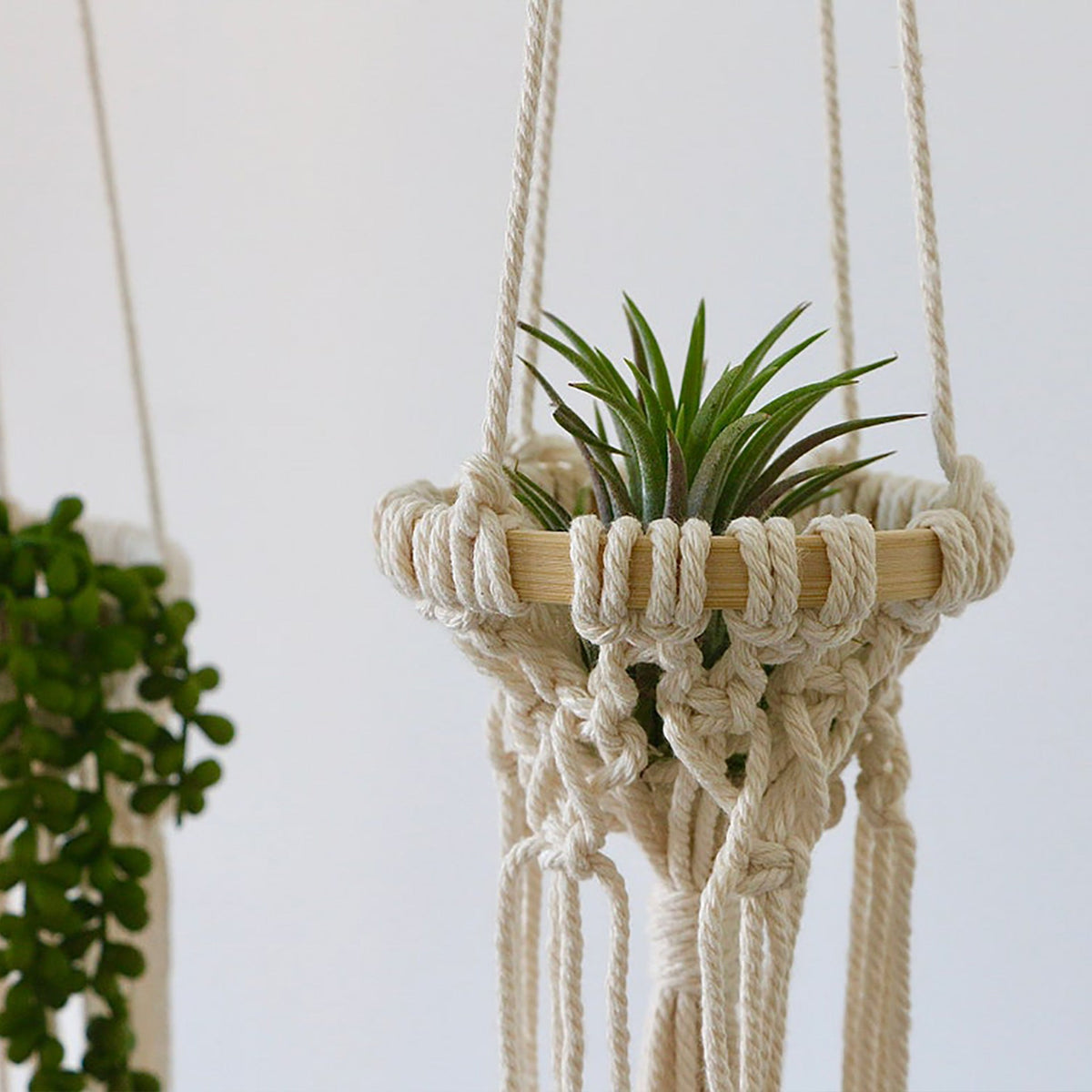 Hanging Macrame Planter | High & Bury