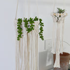 Hanging Macrame Planter | High & Bury