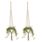 Hanging Plant Holder | High & Bury