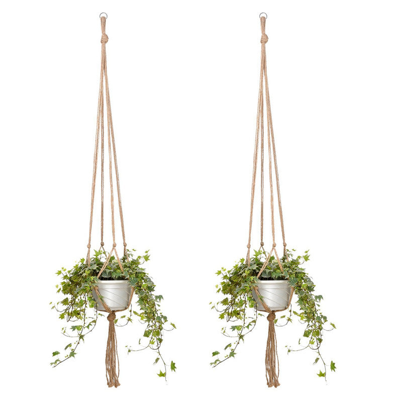 Hanging Plant Holder | High & Bury