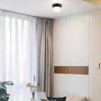 Hazeldale LED Downlight