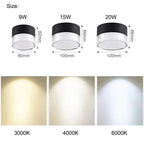Hazeldale LED Downlight