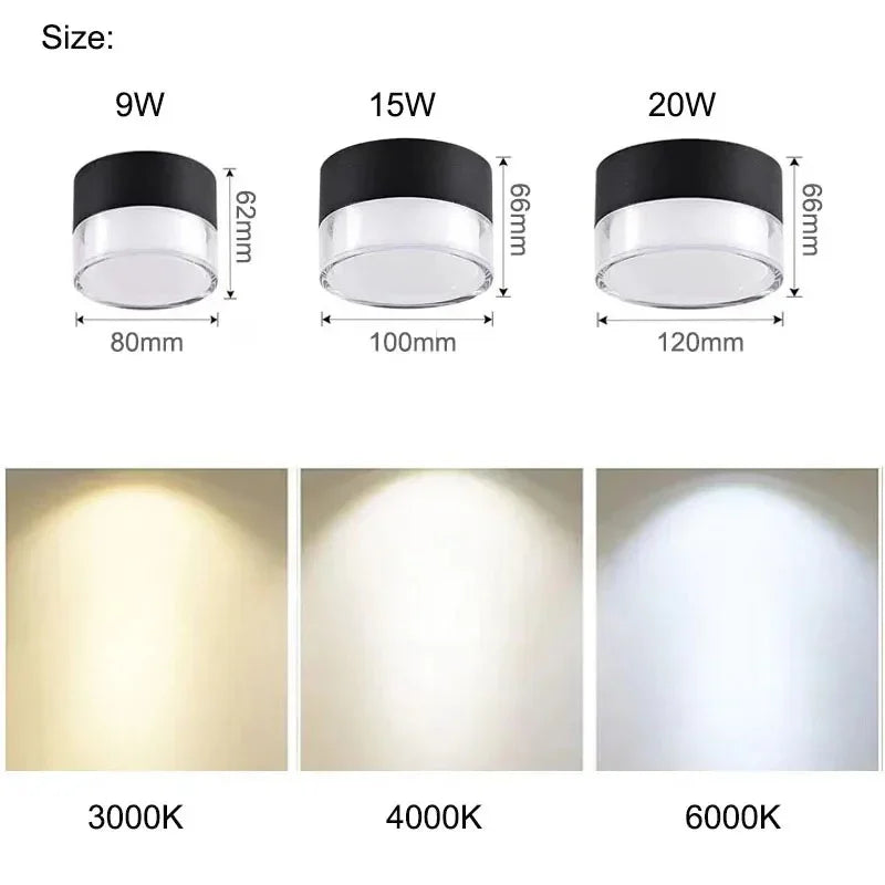 Hazeldale LED Downlight