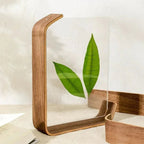 Hazelfield Frame Collection