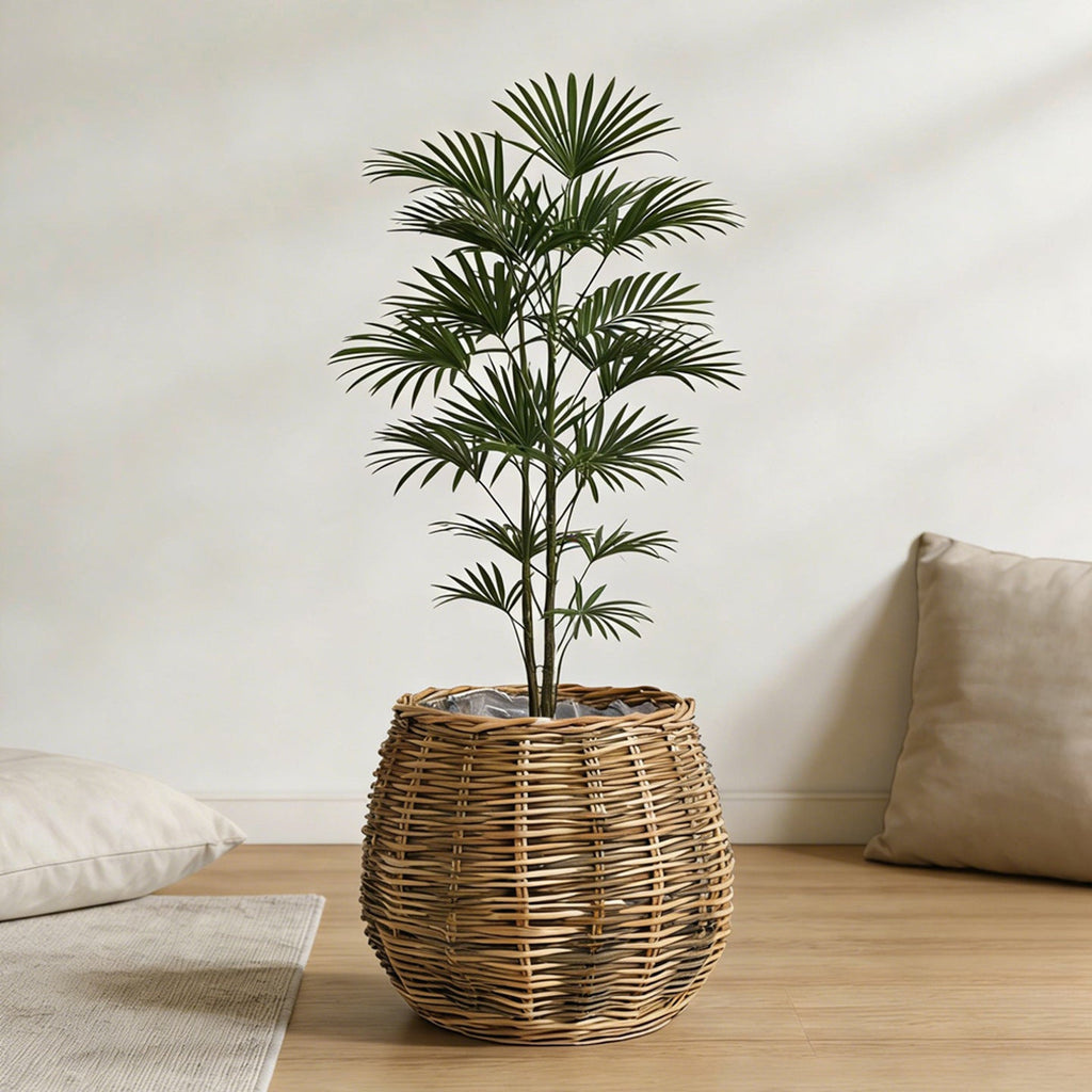 High-Quality Plant Basket made of Natural Willow | High & Bury