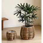 High-Quality Plant Basket made of Natural Willow | High & Bury