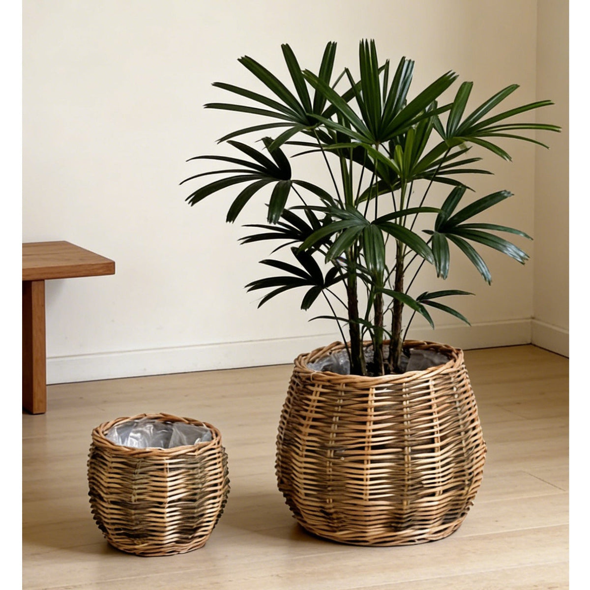 High-Quality Plant Basket made of Natural Willow | High & Bury