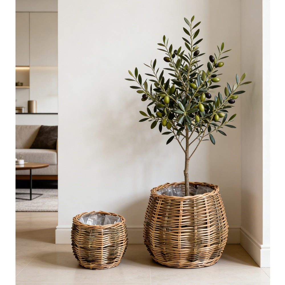 High-Quality Plant Basket made of Natural Willow | High & Bury