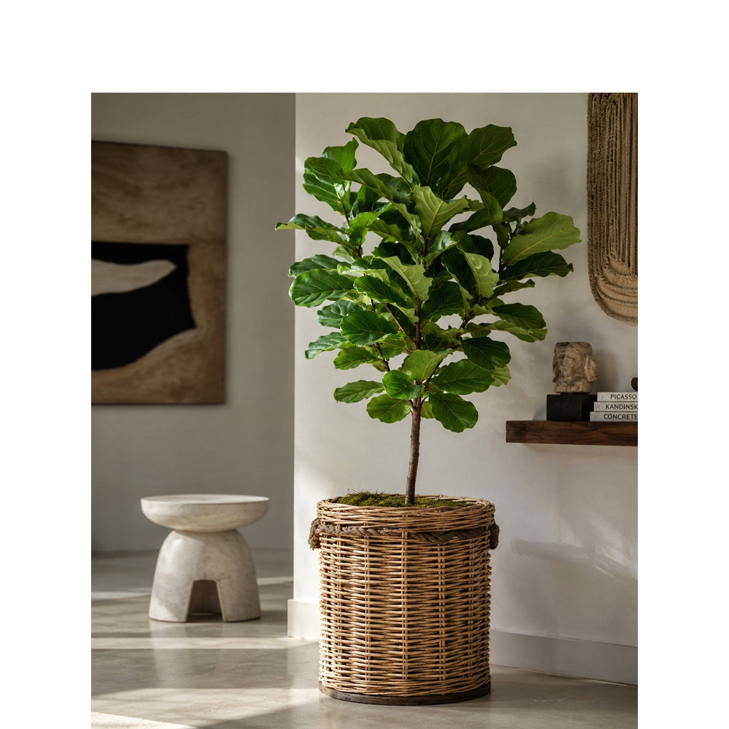 High-Quality Storage Basket made of Willow | High & Bury