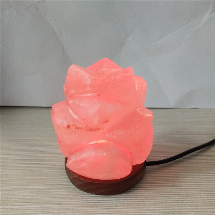 Himalayan Salt Crystal Sphere Lamp with Color Changing LED and Natural Wood Base | High & Bury