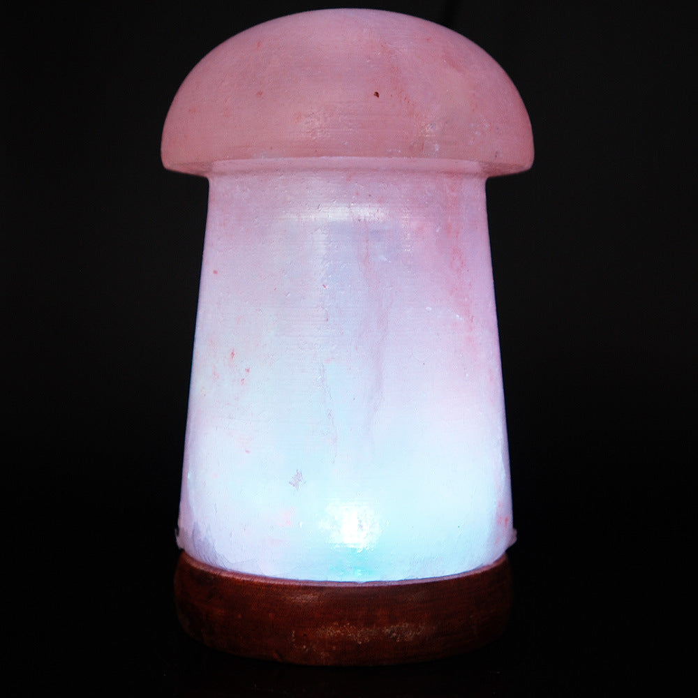 Himalayan Salt Crystal Sphere Lamp with Color Changing LED and Natural Wood Base | High & Bury