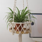 Home Decorative Accent | High & Bury