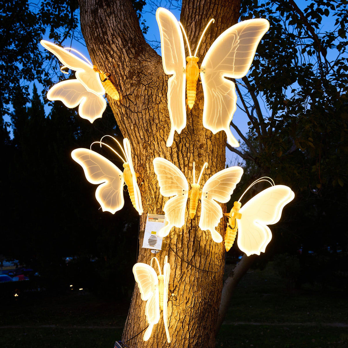 Illuminated Acrylic Butterfly Wall Art Lights | High & Bury
