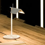 Ilora Desk Lamp