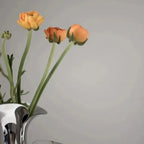 Juniperholm Vase