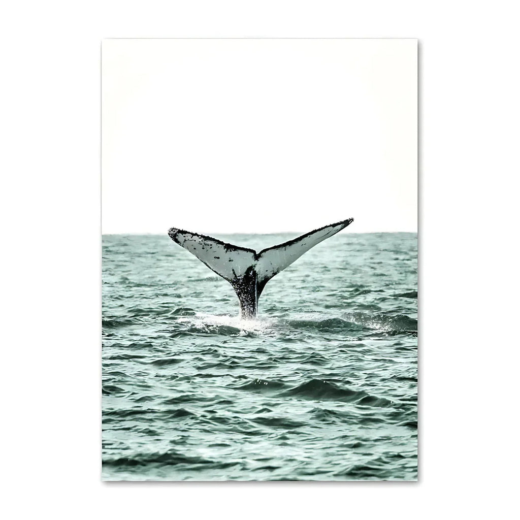 Kerbira Print Collection