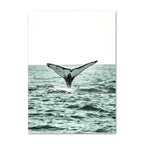 Kerbira Print Collection