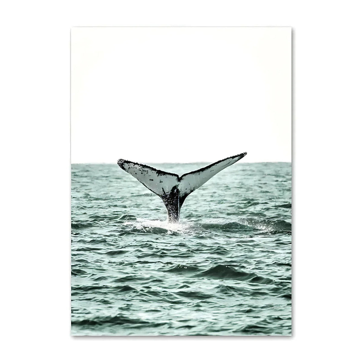 Kerbira Print Collection