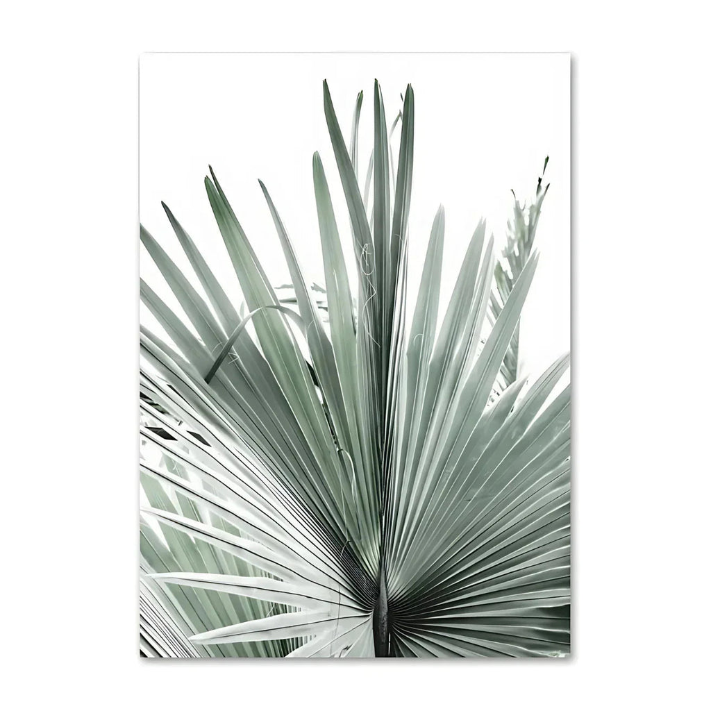 Kerbira Print Collection